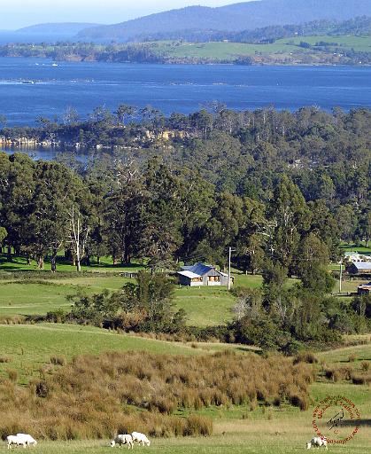 Tasmania 9K57D-20.JPG